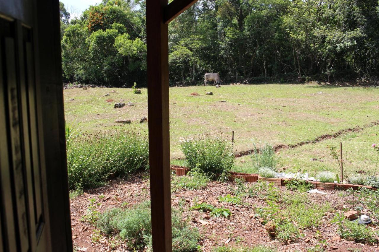 Cabana Na Serra Gaucha! 皮卡达卡费 外观 照片