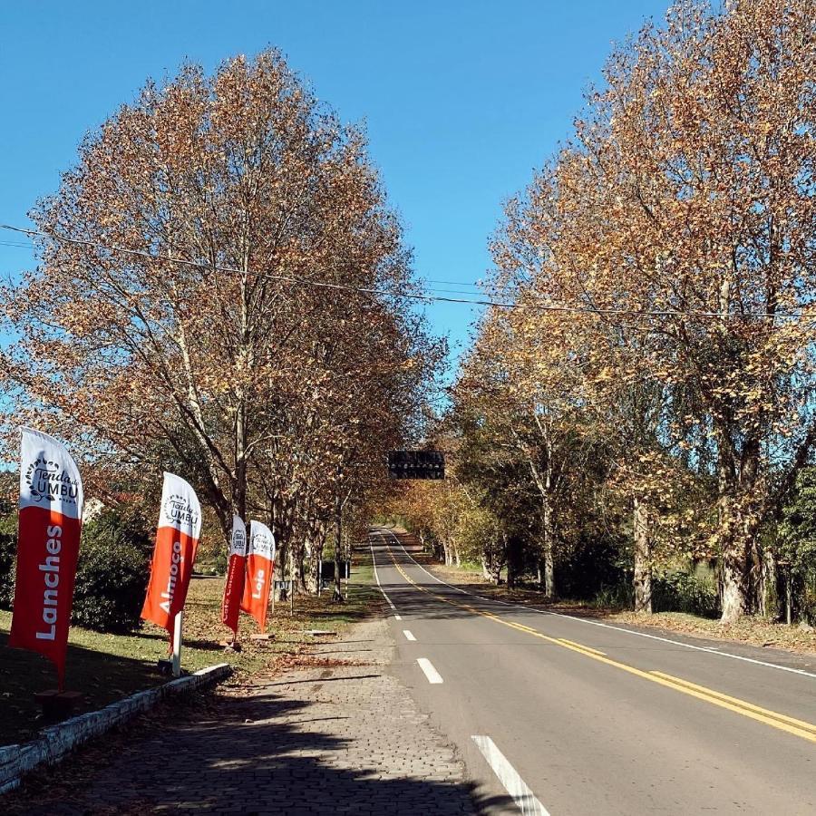 Cabana Na Serra Gaucha! 皮卡达卡费 外观 照片